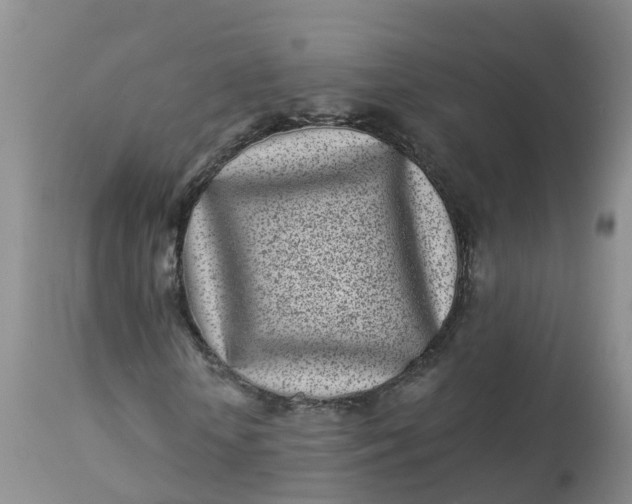 X0000113100818200909111049