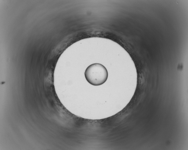 X0000113100820200909111049