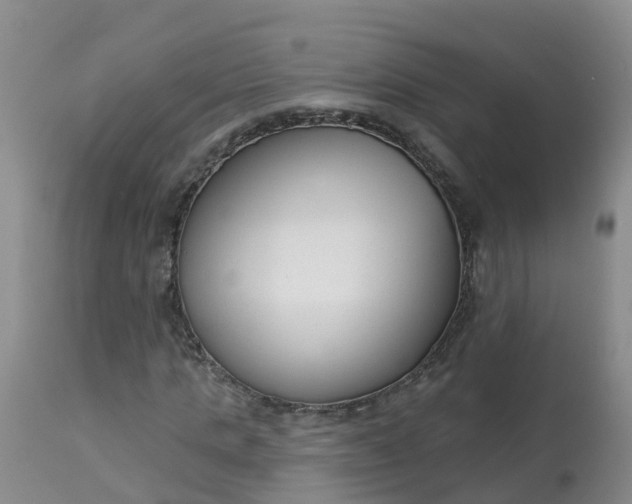 X0000113100821200909111049