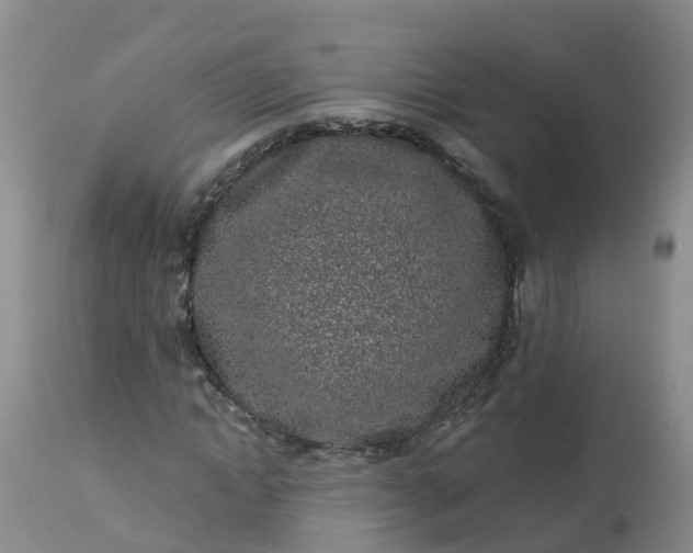 X0000113100822200909111049