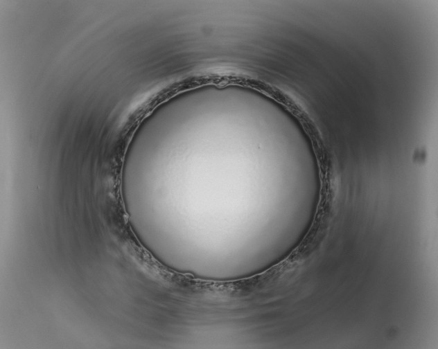 X0000113100823200909111049