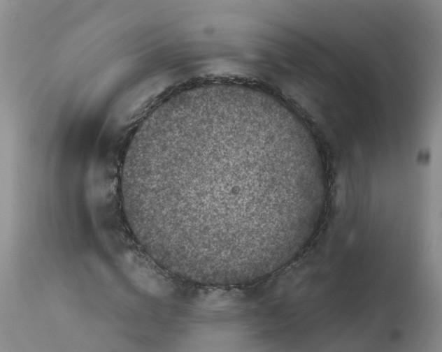 X0000113100824200909111049