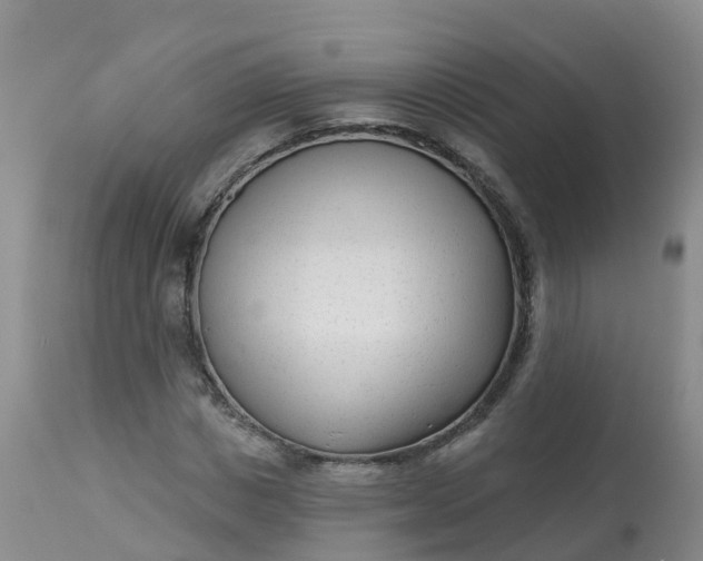 X0000113100825200909111049
