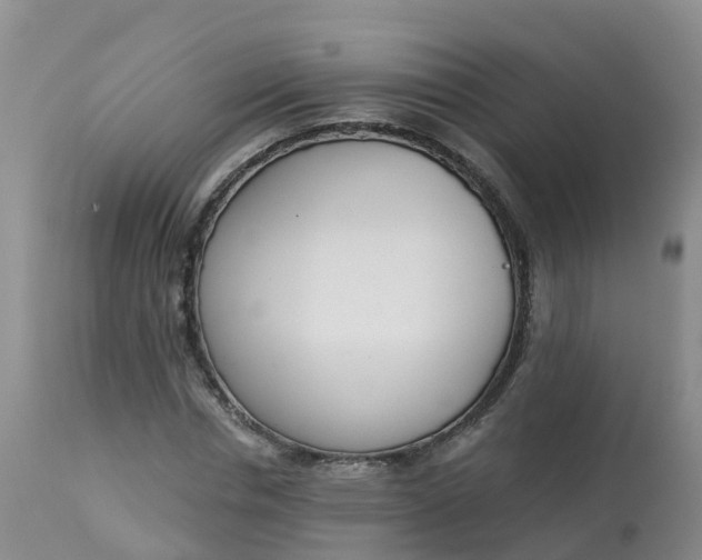 X0000113100826200909111049
