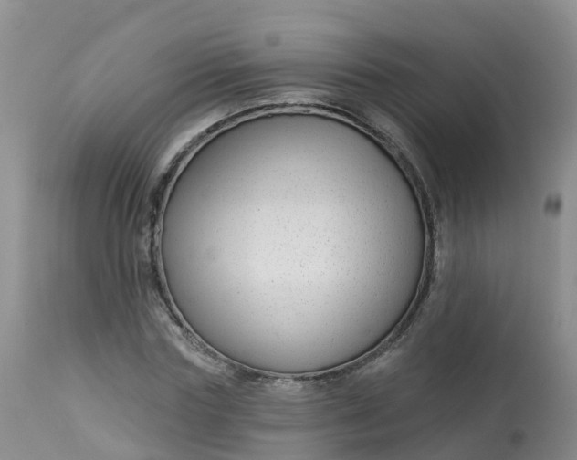 X0000113100827200909111049