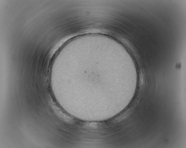 X0000113100828200909111049