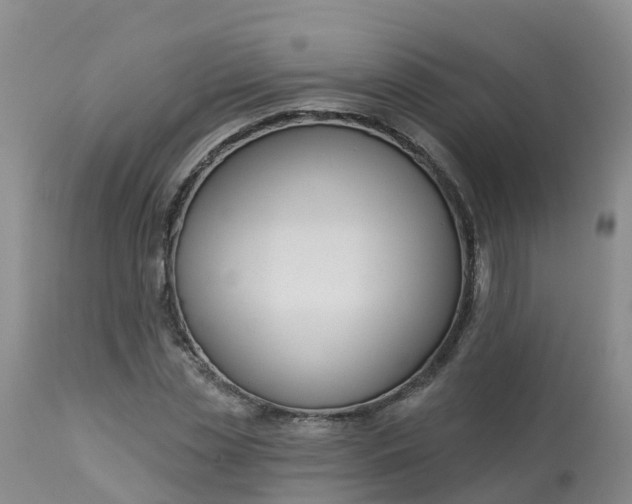 X0000113100829200909111049