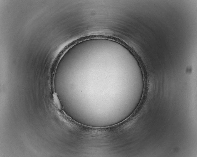 X0000113100830200909111049
