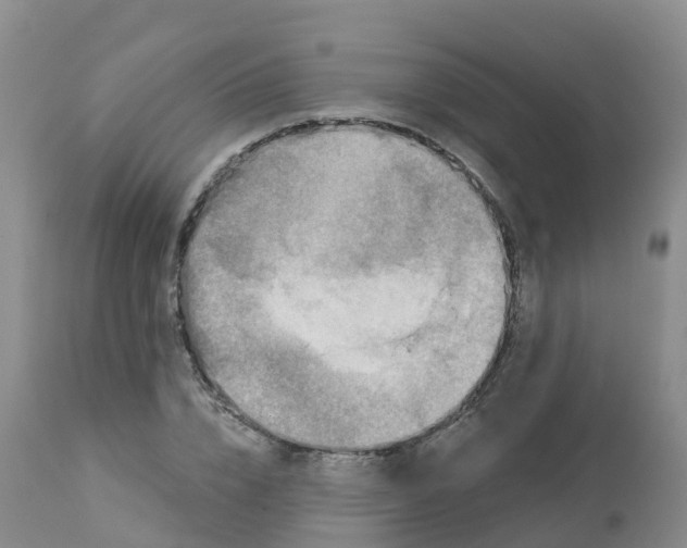 X0000113100832200909111049