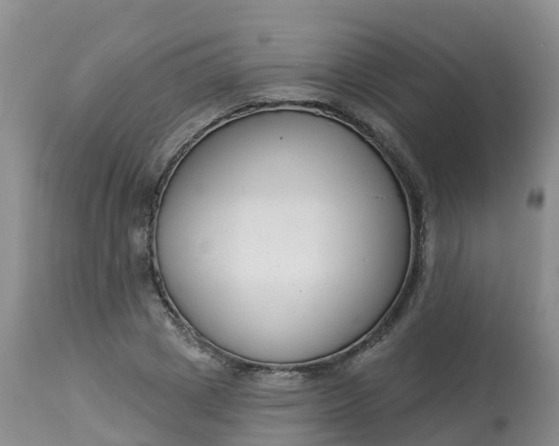 X0000113100833200909111049