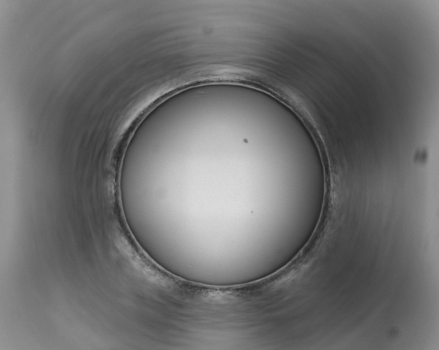 X0000113100835200909111049