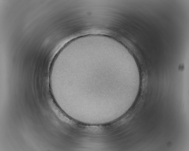 X0000113100836200909111049