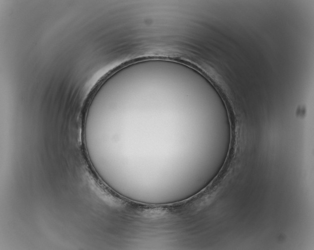 X0000113100838200909111049