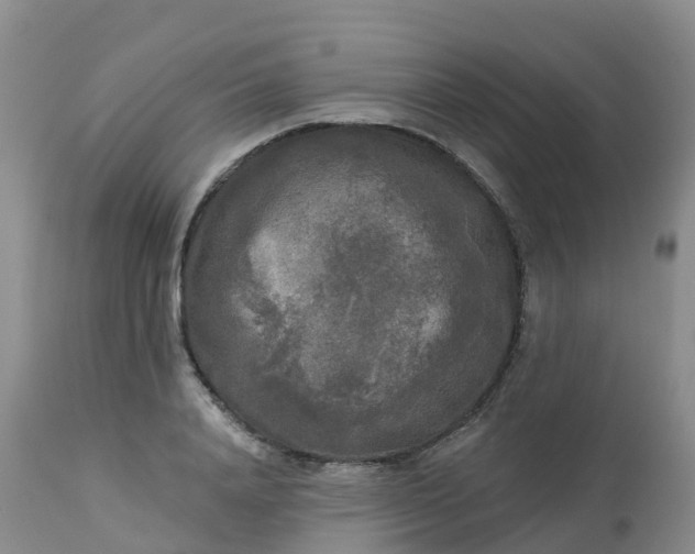 X0000113100840200909111049