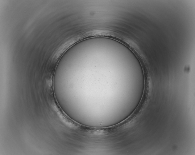 X0000113100841200909111049