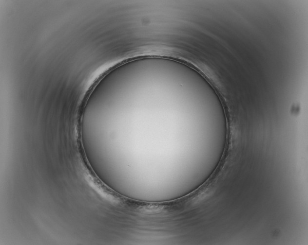 X0000113100846200909111049
