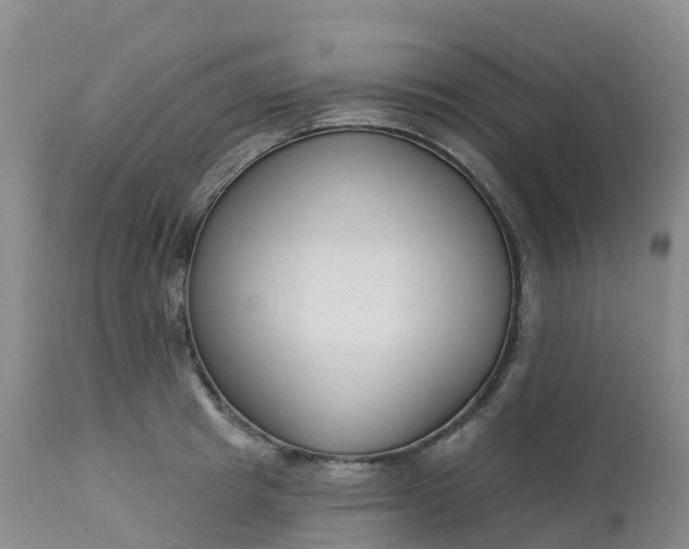 X0000113100849200909111049