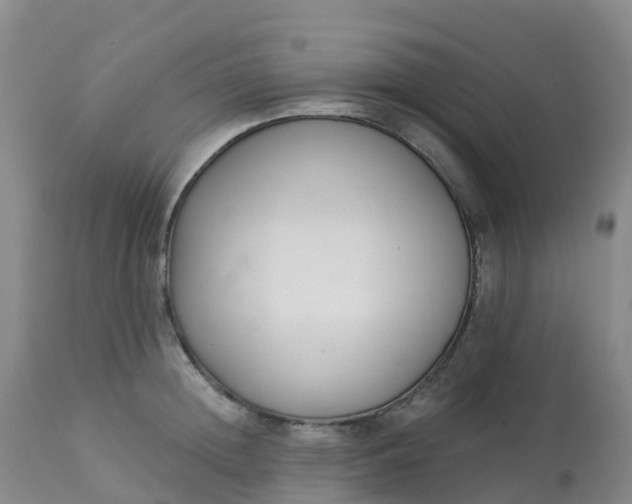 X0000113100852200909111049