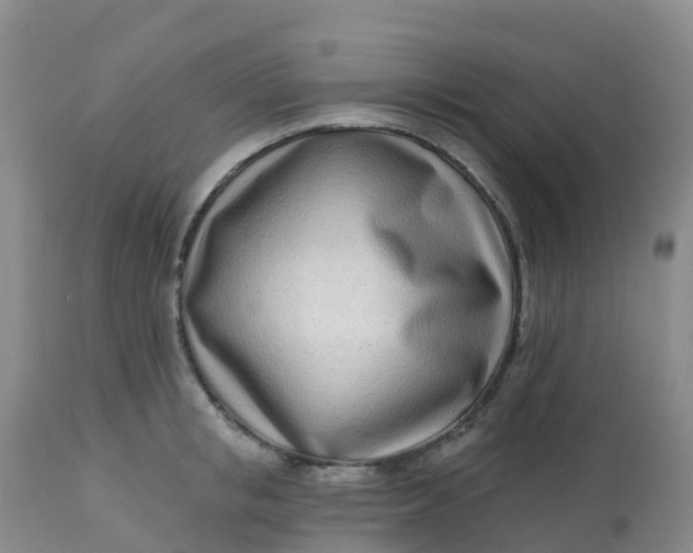 X0000113100853200909111049