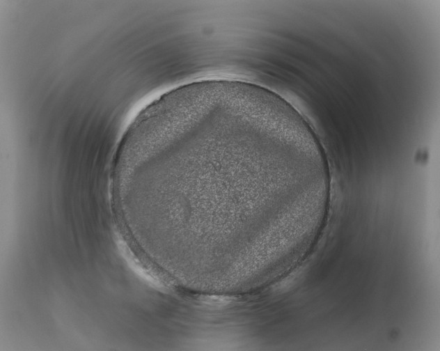 X0000113100854200909111049