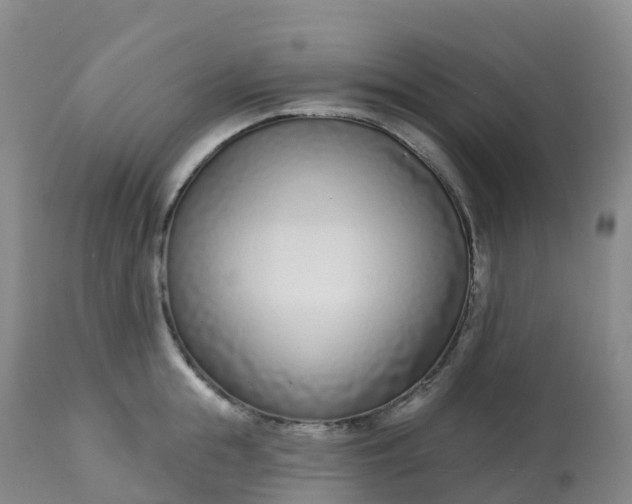X0000113100855200909111049