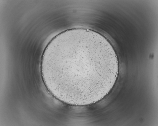 X0000113100856200909111049