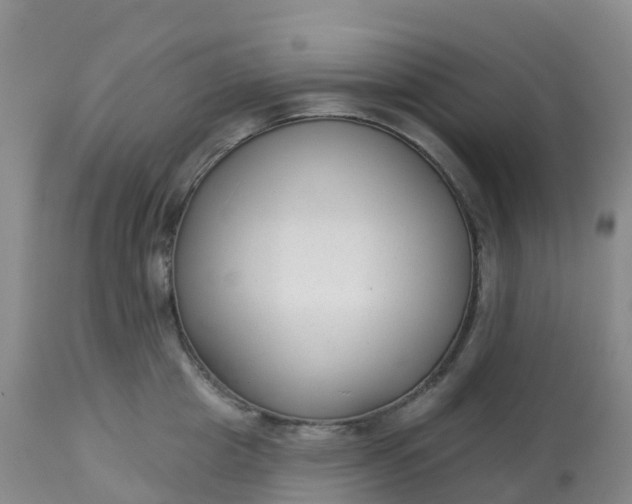 X0000113100857200909111049