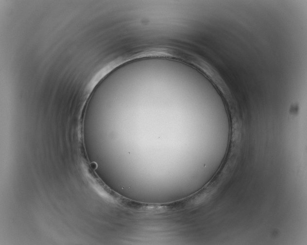 X0000113100858200909111049