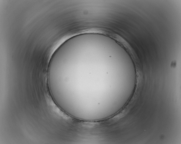 X0000113100860200909111049