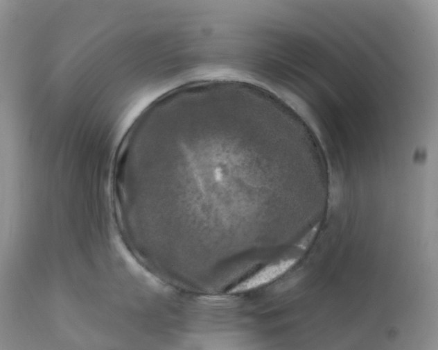 X0000113100863200909111049