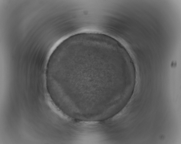 X0000113100864200909111049