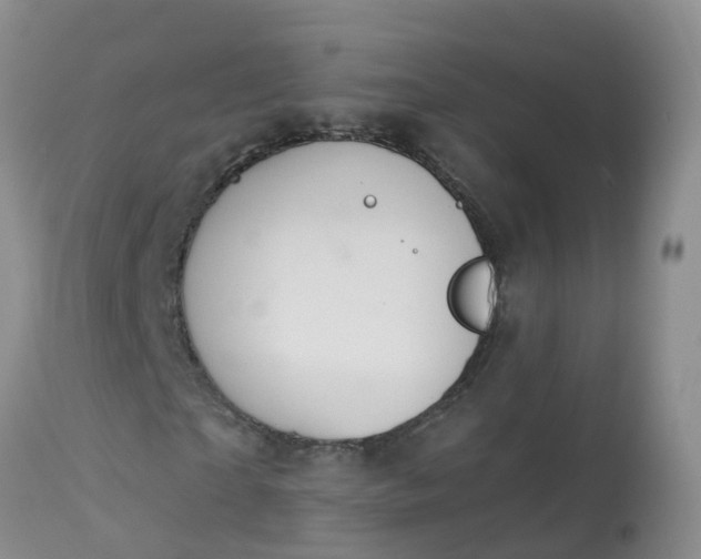 X0000113100865200909111049
