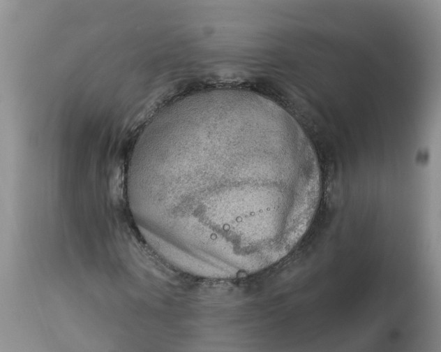 X0000113100866200909111049