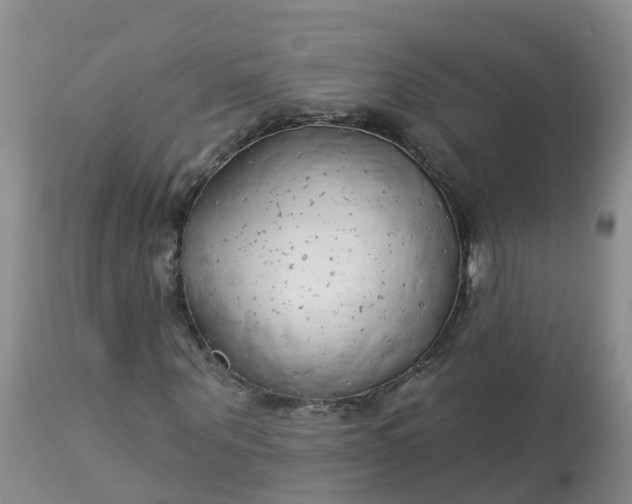 X0000113100867200909111049