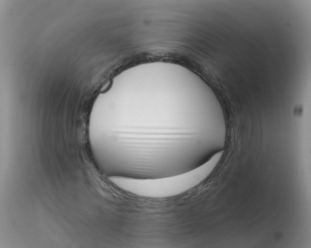 X0000113100868200909111049