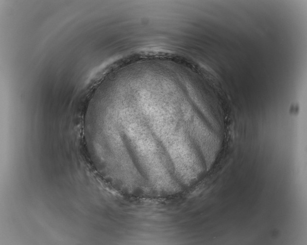 X0000113100870200909111049