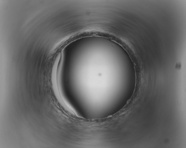 X0000113100872200909111049
