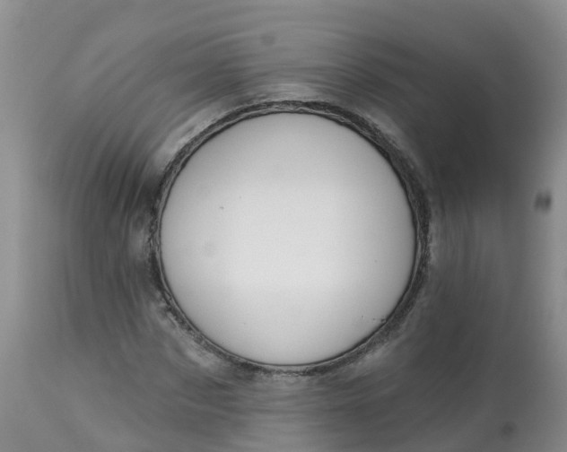 X0000113100873200909111049