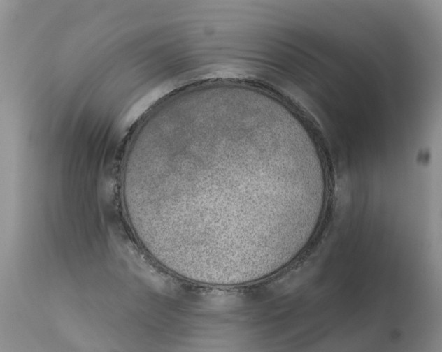 X0000113100874200909111049