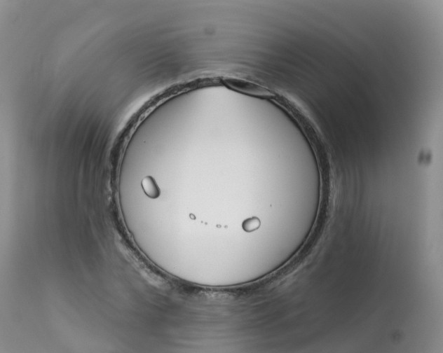 X0000113100878200909111049