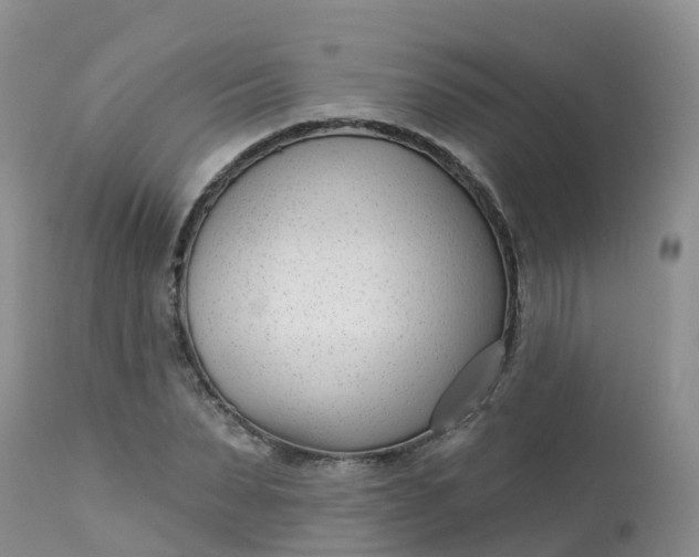 X0000113100879200909111049