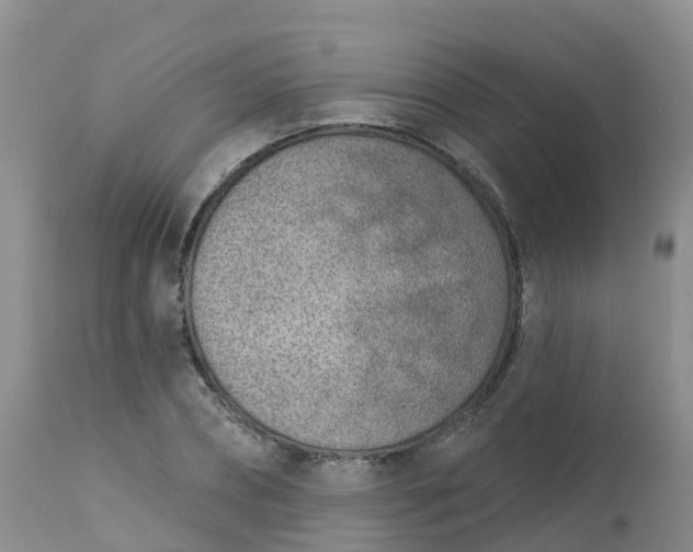 X0000113100882200909111049