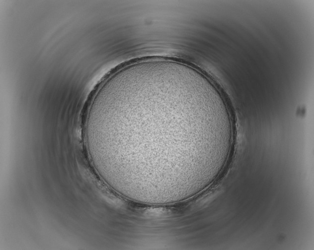 X0000113100883200909111049