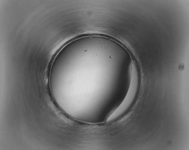 X0000113100885200909111048