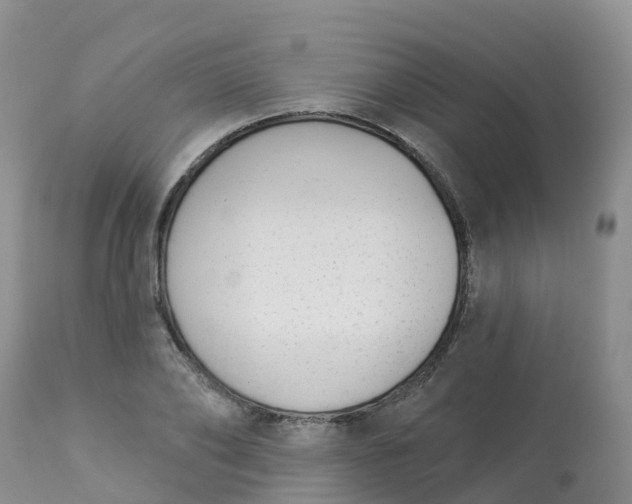 X0000113100886200909111048