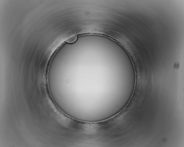 X0000113100893200909111048