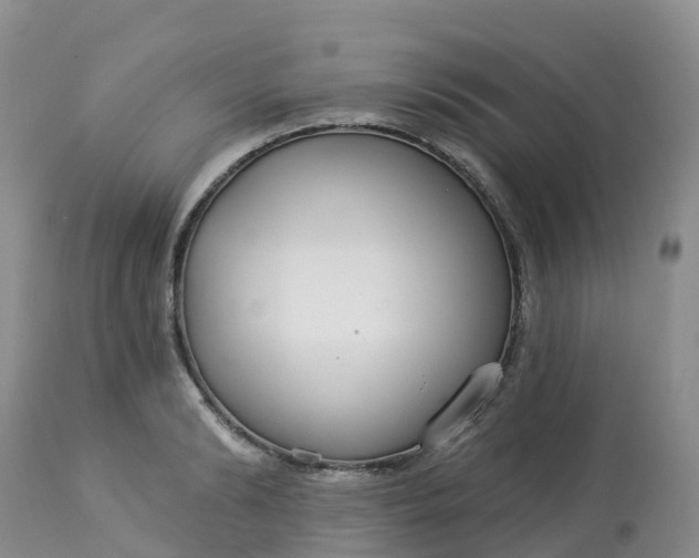 X0000113100894200909111048