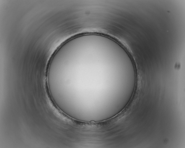 X0000113100895200909111048