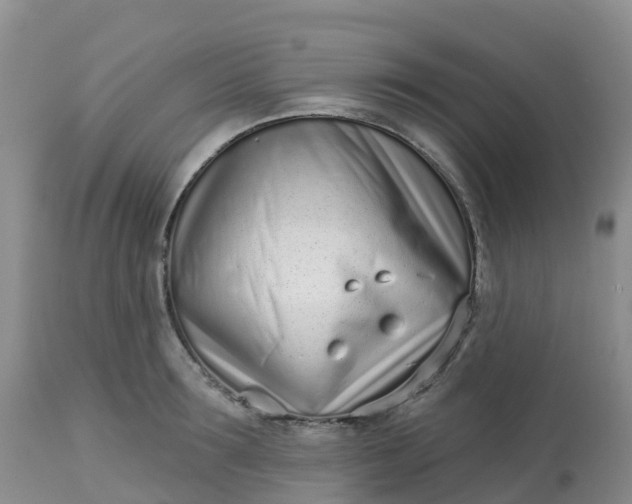 X0000113100899200909111048