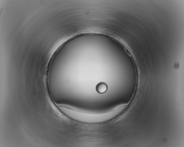 X0000113100901200909111048